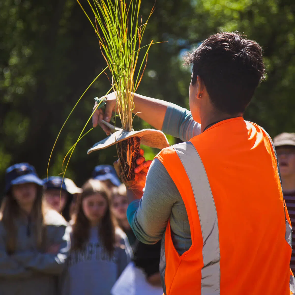 Environmental Restoration and Pest Control Services Queenstown Mana